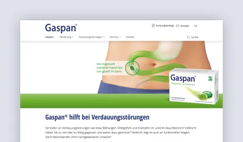 Screenshot of the Gaspan website homepage