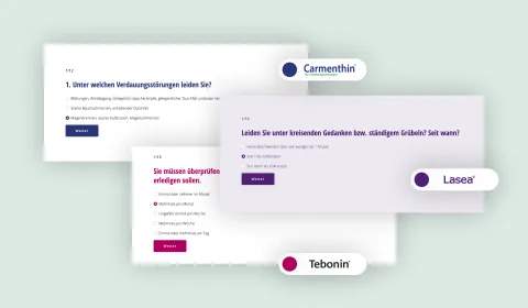 Screenshot showing reusable components on the Schwabe website
