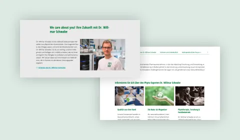 Screenshot of the "About us" page on the Schwabe website