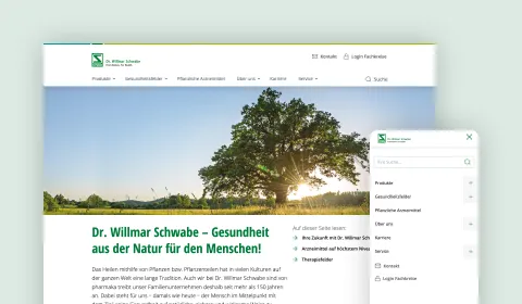 Screenshot of the Schwabe website homepage