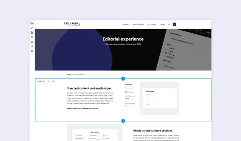 Screenshot of the frontend editing display