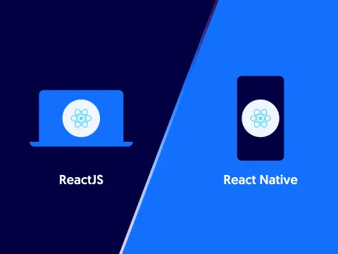 ReactJS vs. React Native